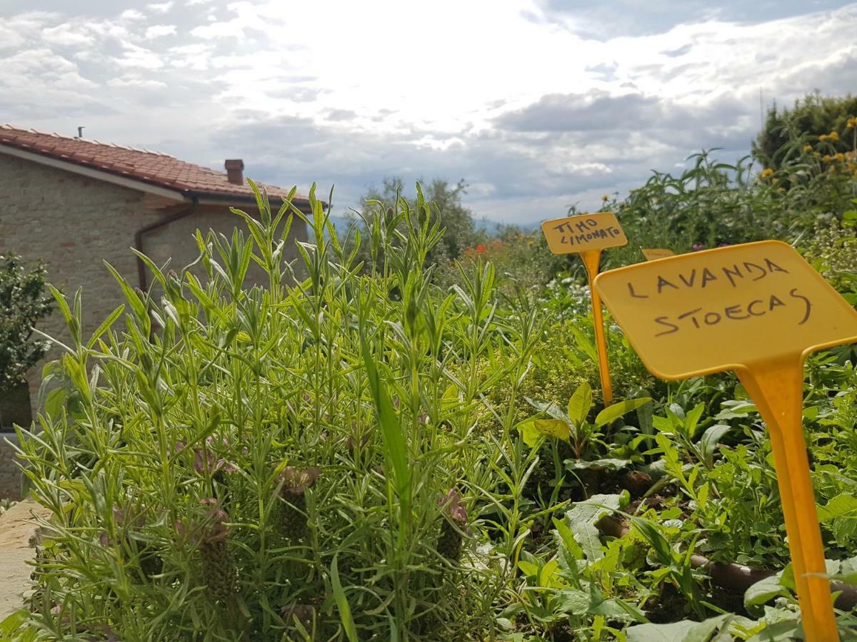 Il Fienile De La Cavallina Larciano Exterior foto